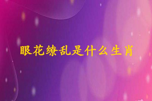 眼花缭乱是什么生肖