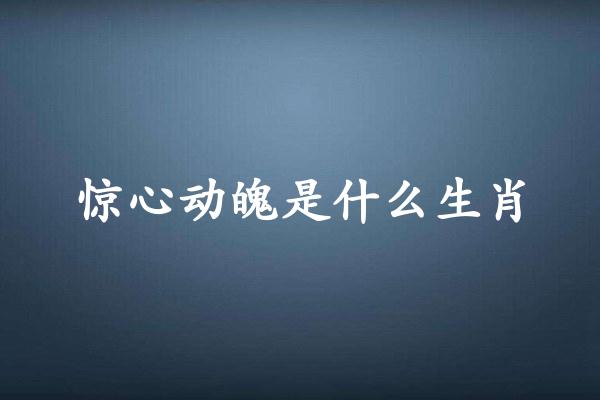 惊心动魄是什么生肖