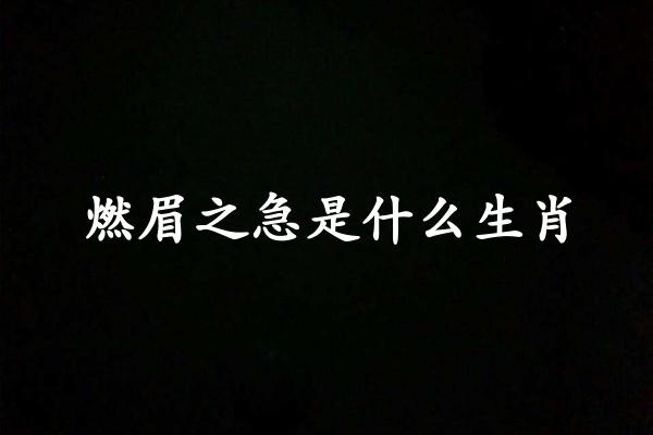 燃眉之急是什么生肖