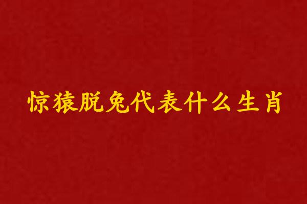 惊猿脱兔代表什么生肖