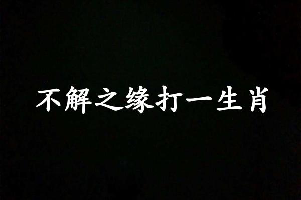 不解之缘打一生肖