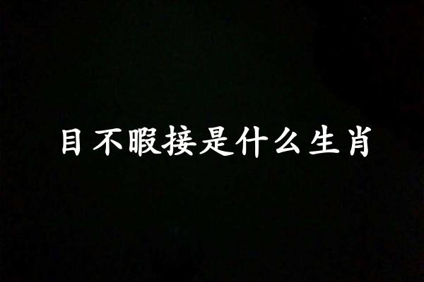 目不暇接是什么生肖