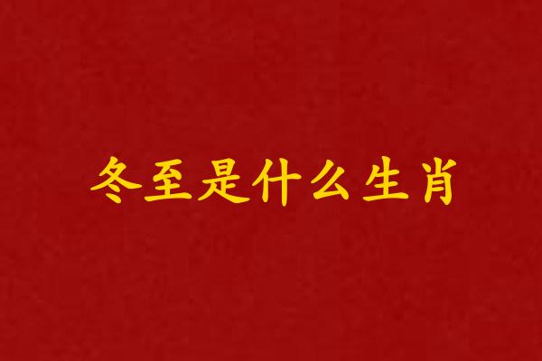 冬至是什么生肖