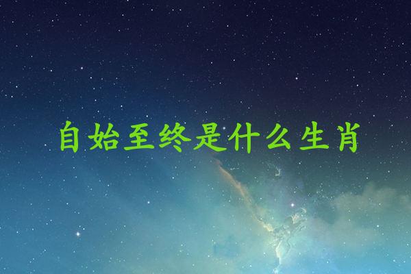 自始至终是什么生肖