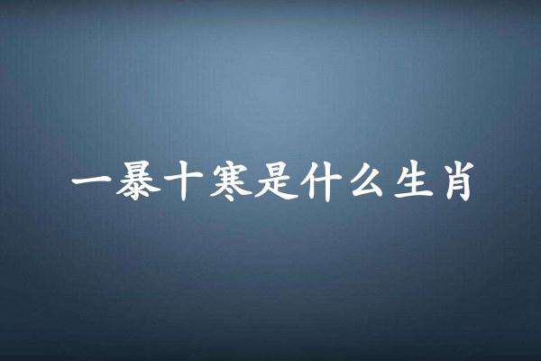 一暴十寒是什么生肖