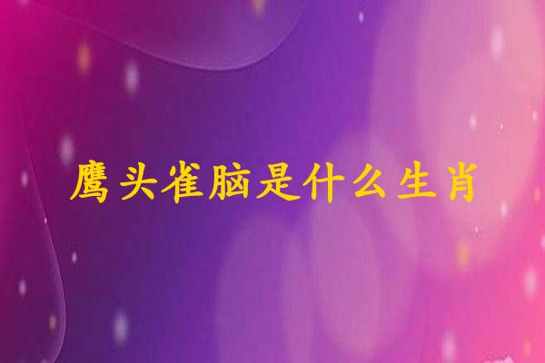 鹰头雀脑是什么生肖