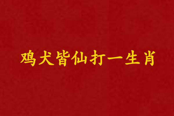 鸡犬皆仙打一生肖