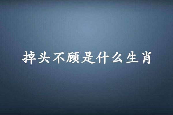 掉头不顾是什么生肖