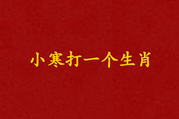 小寒打一个生肖