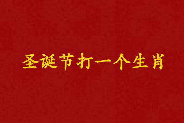 圣诞节打一个生肖