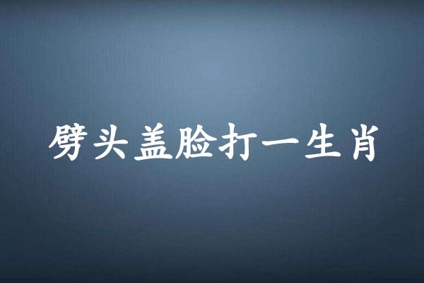 劈头盖脸打一生肖