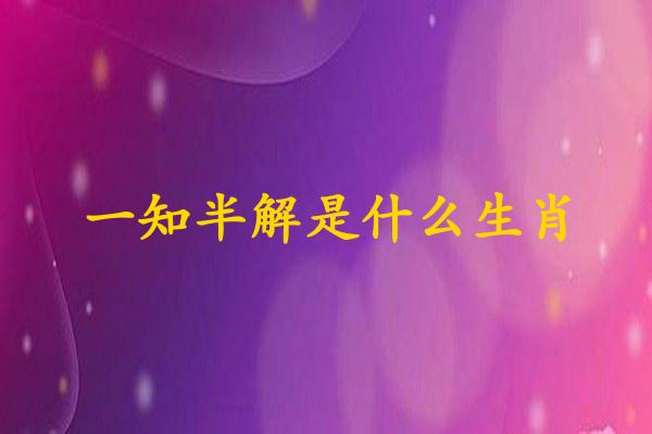 一知半解是什么生肖