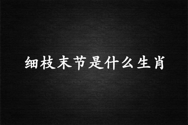 细枝末节是什么生肖