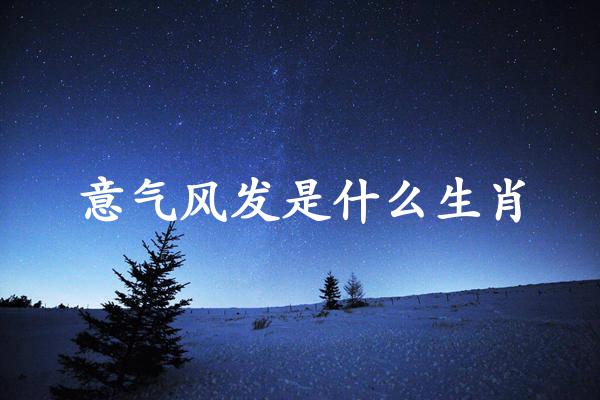 意气风发是什么生肖