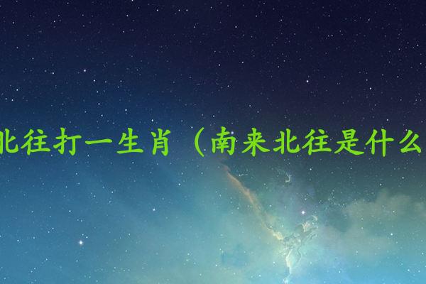 南来北往打一生肖（南来北往是什么生肖）