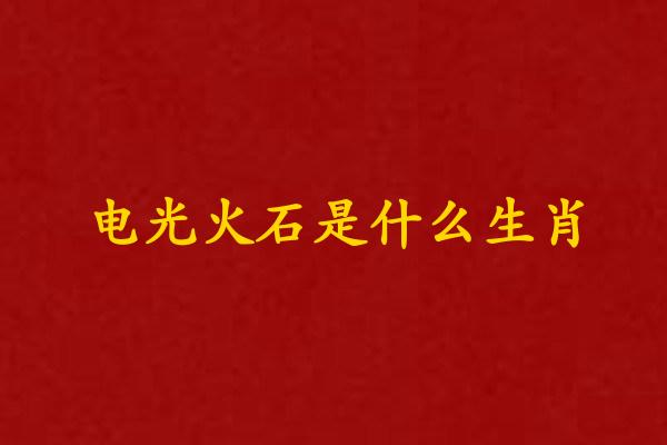 电光火石是什么生肖