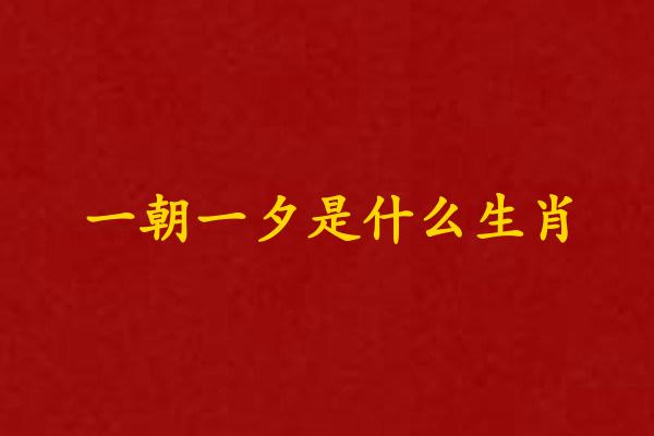 一朝一夕是什么生肖