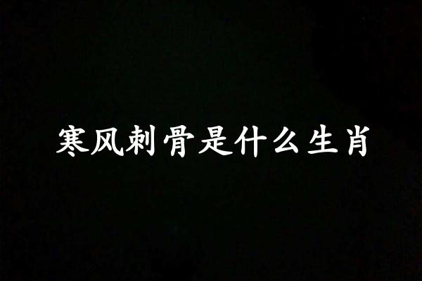 寒风刺骨是什么生肖