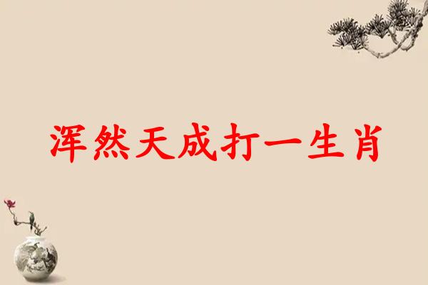浑然天成打一生肖