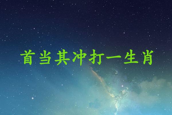 首当其冲打一生肖